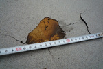 aP1050249.jpg